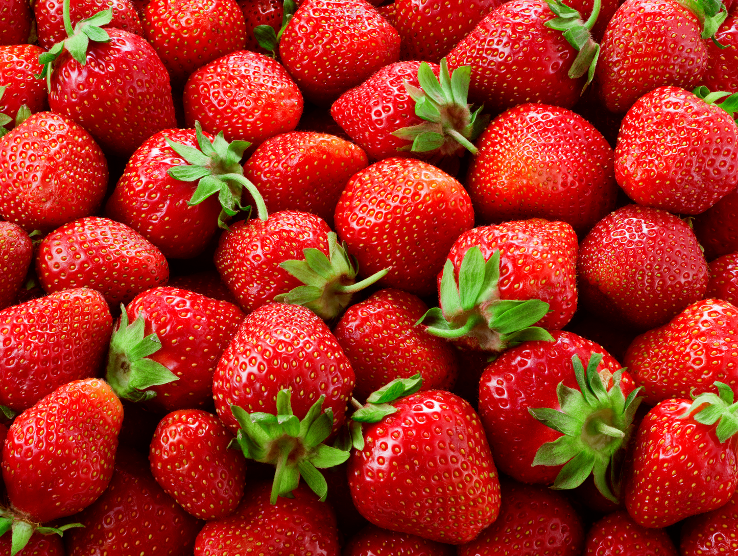 Gelée à la fraise 85G x 48 - BLUE MILL