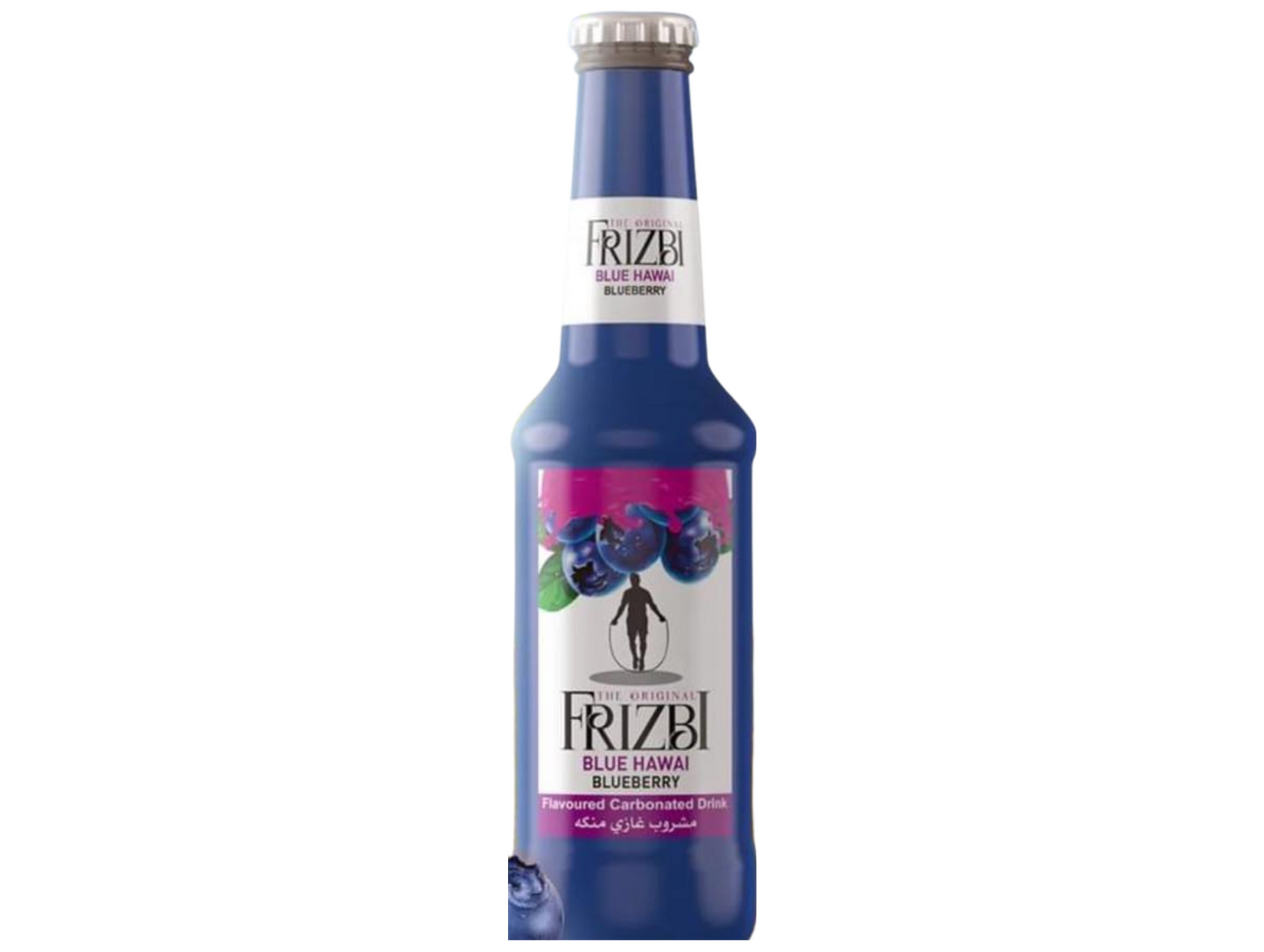 Boisson gazeuse aux myrtilles 250ML x 24 FRIZBI