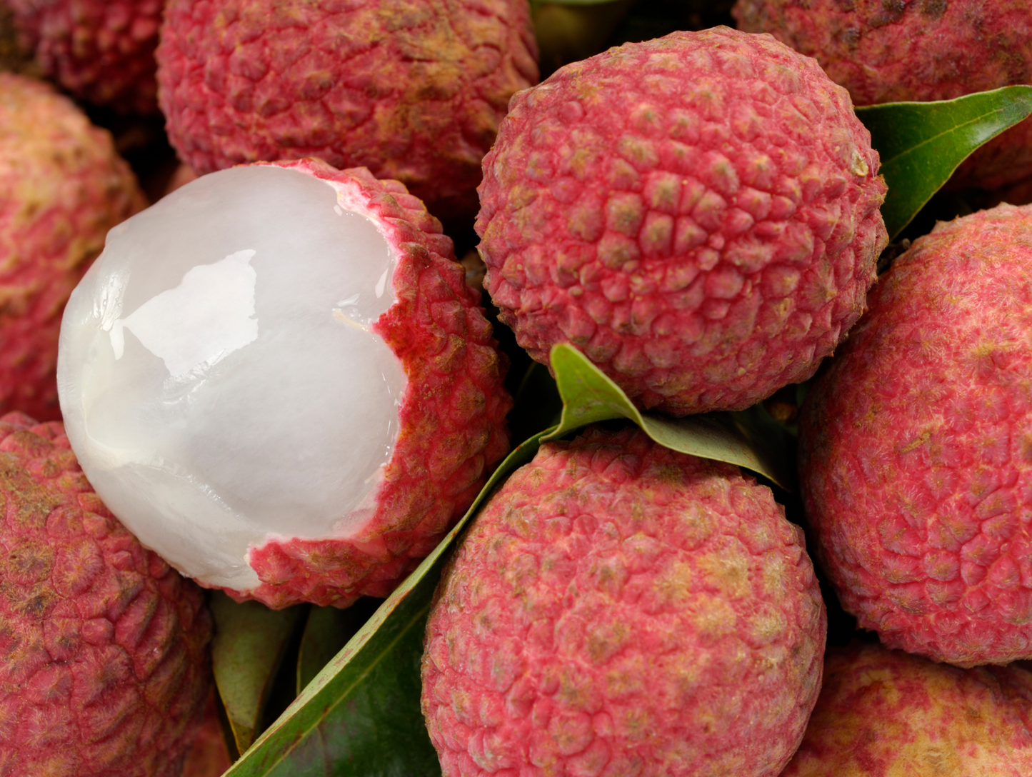 Boisson gazeuse au litchi 250ML x 24 FRIZBI