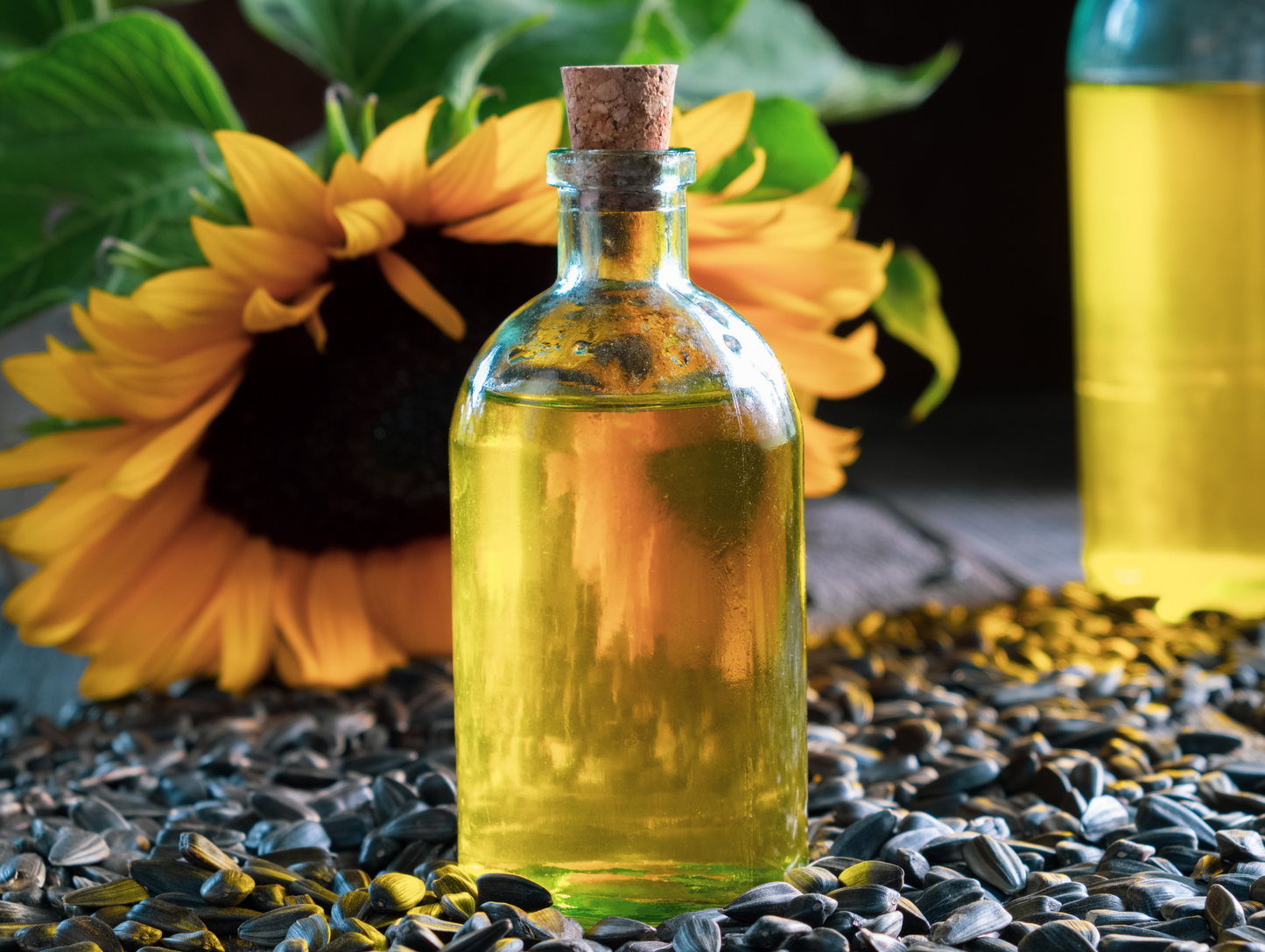 Huile de tournesol  5L x 3 - LARA