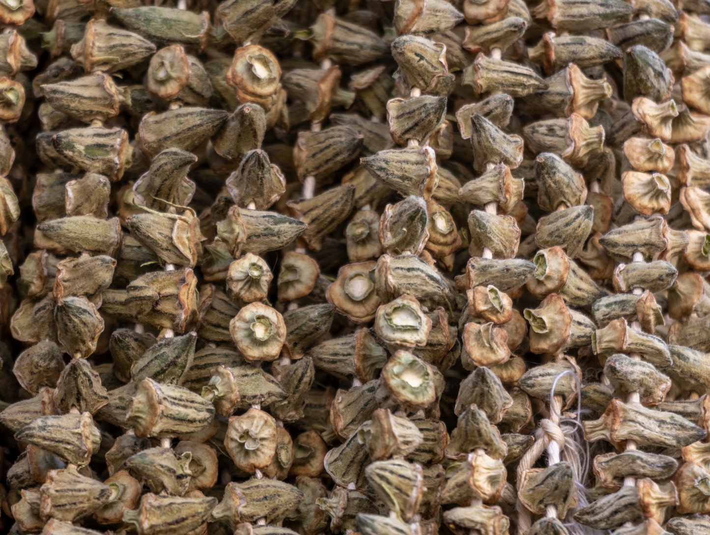 Gombos séchés (bamya okra) 150G x 12 LARA
