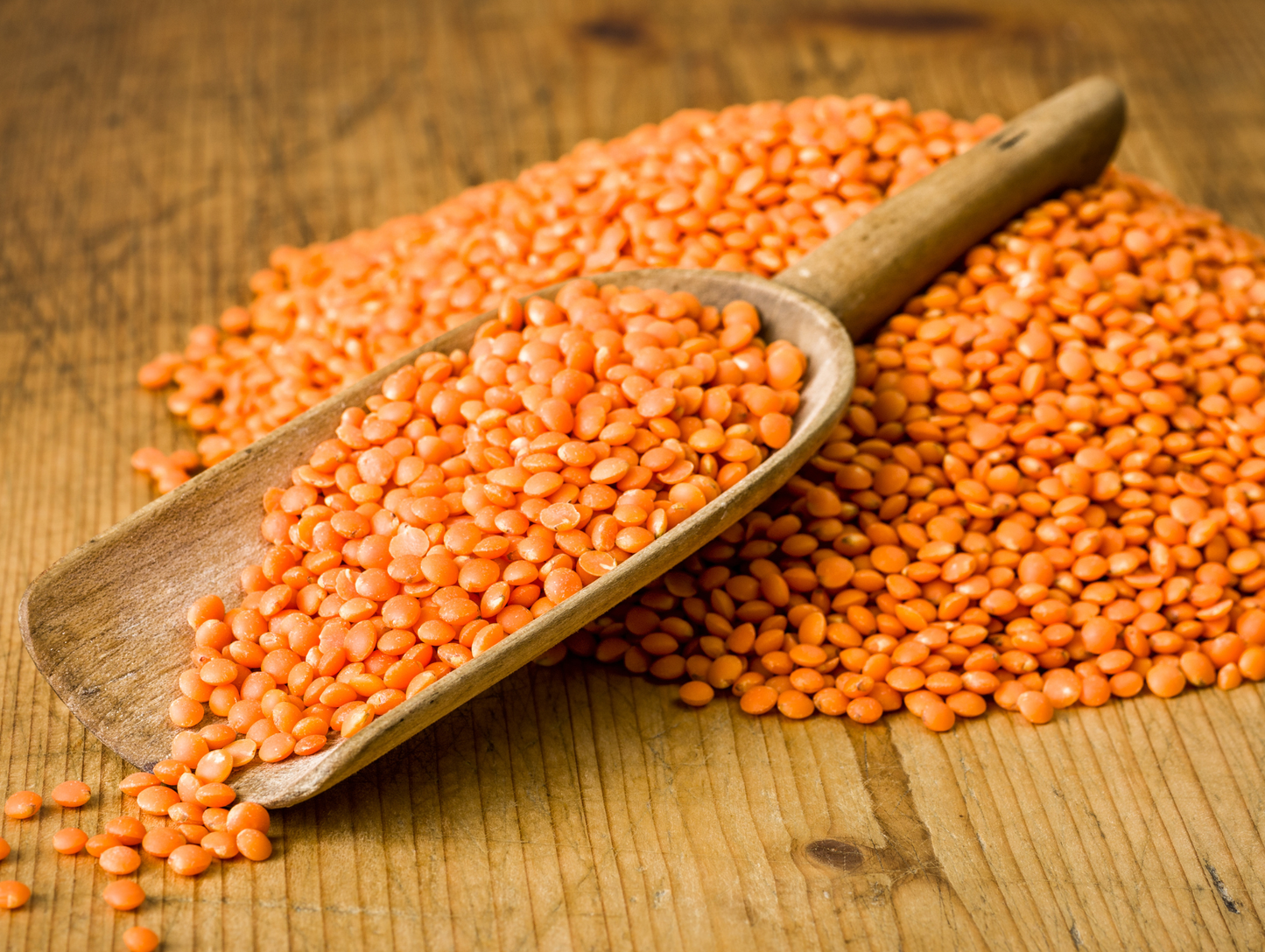 Lentilles rouge 1KG x 12 SERA