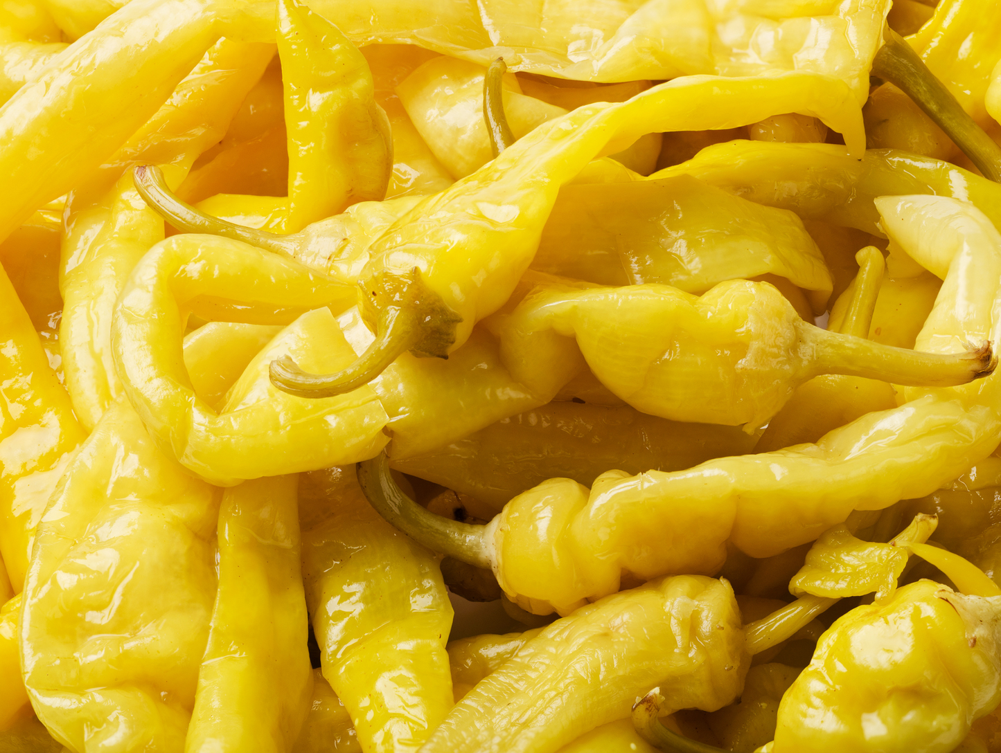 Petits piments marinés 300G x12 LARA