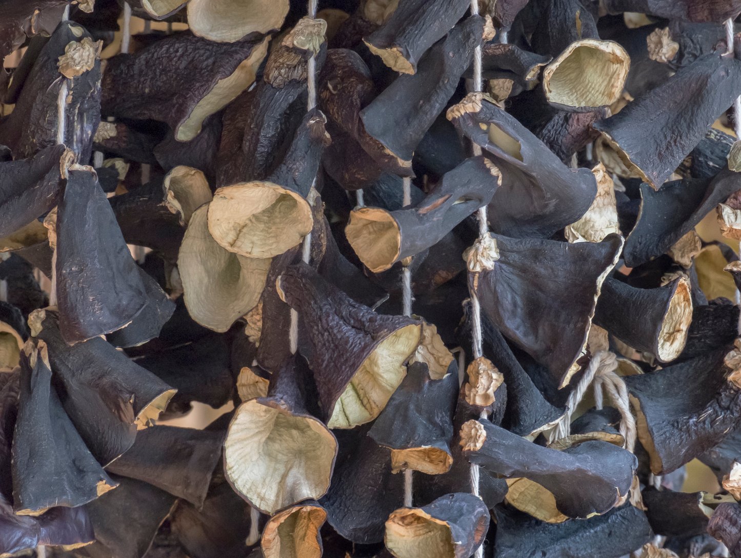 Aubergines séchées 75G x 12 ALGOTA