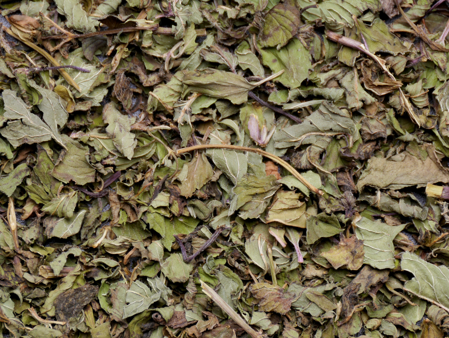 Menthe séchée 500G - ABIDO