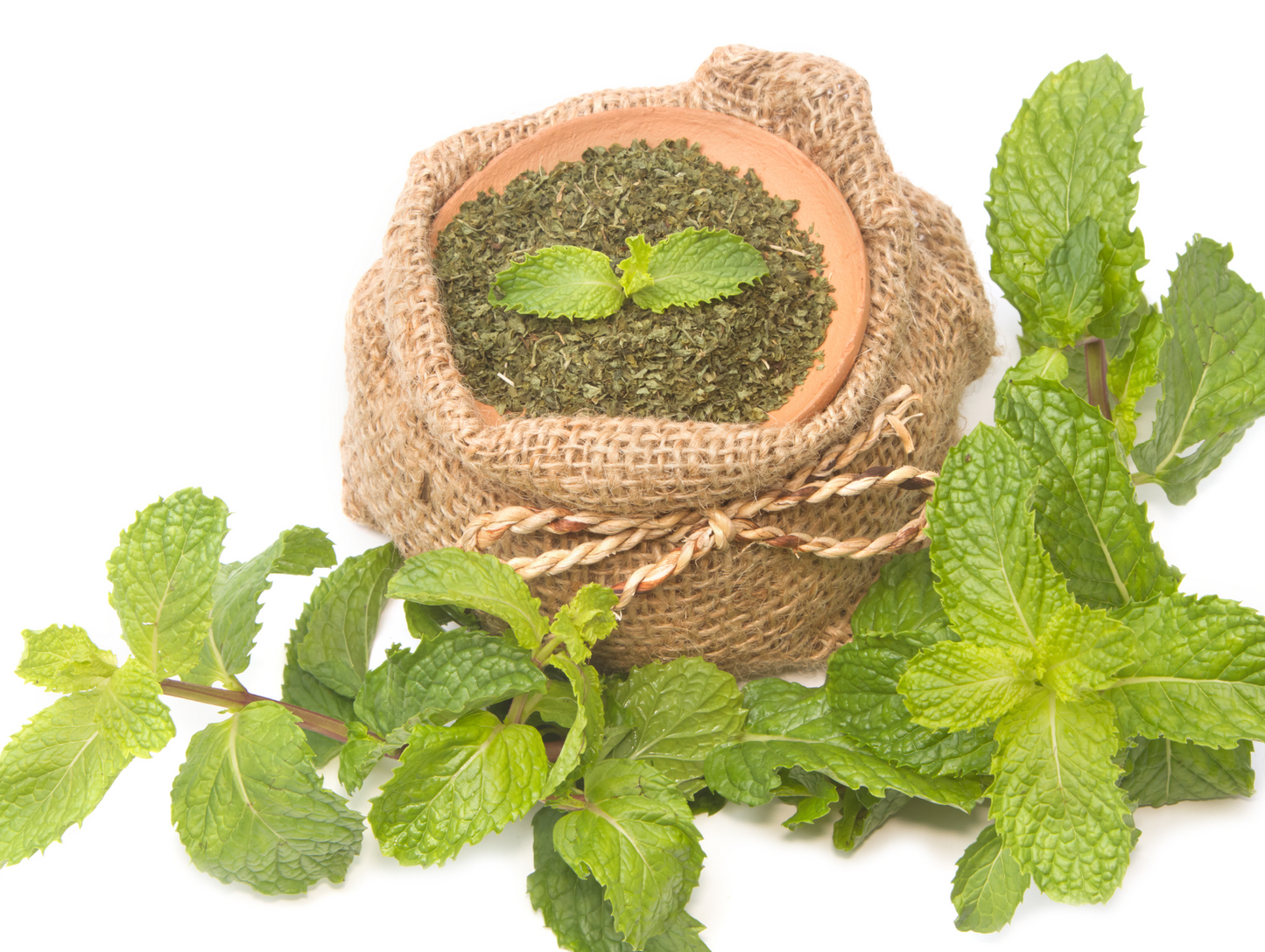 Menthe séchée 500G - ABIDO