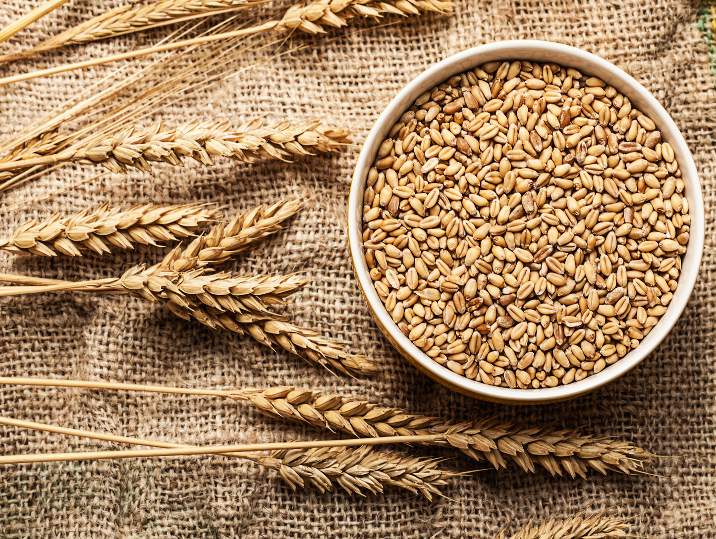 Blé pelé 1KG x 12 SERA