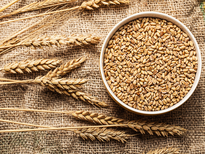 Blé pelé 1KG x 12 SERA