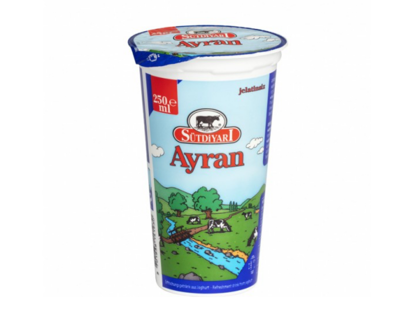 Ayran 25CL x 10 SUTDIYARI