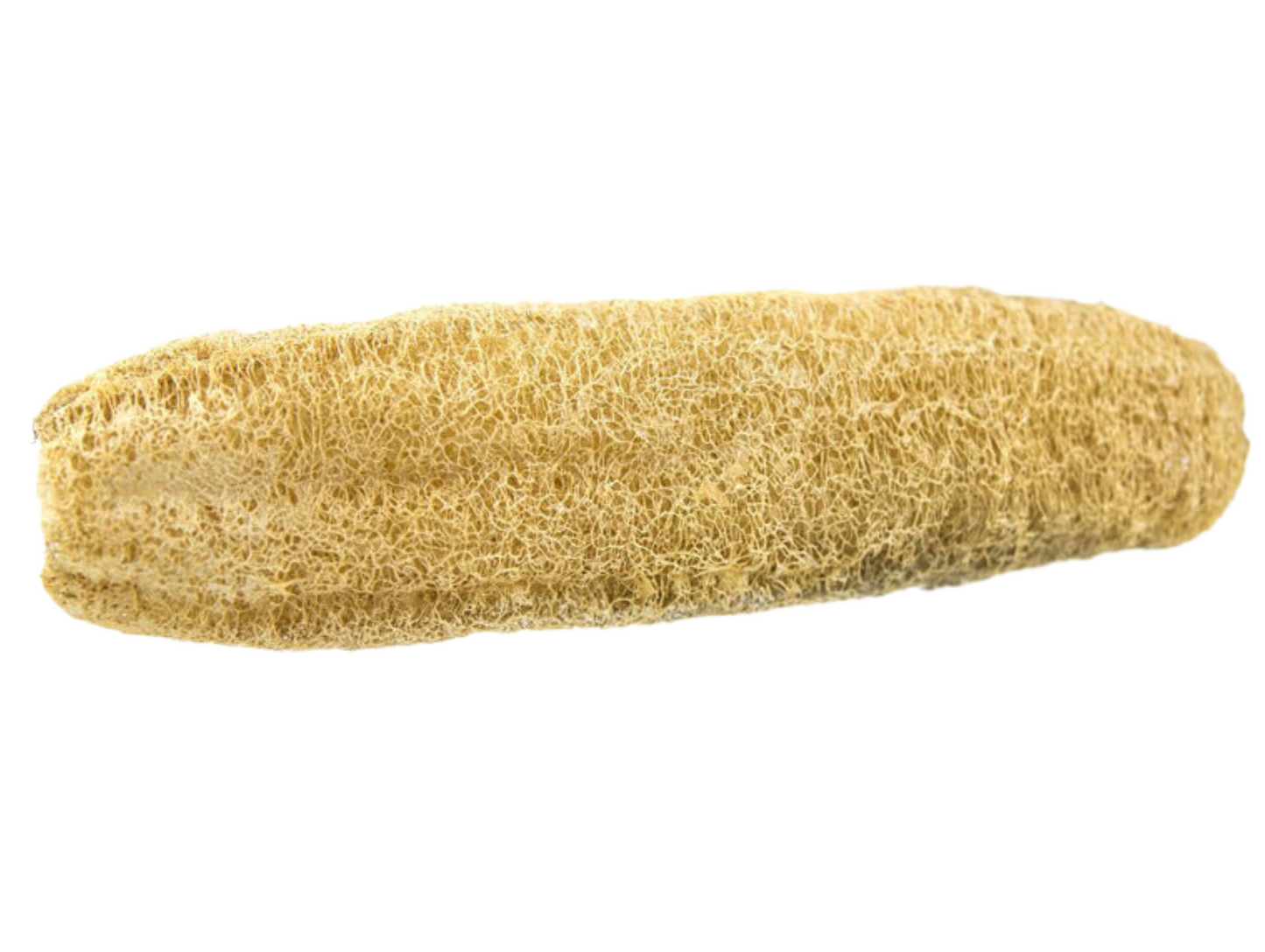 Loofah naturelle grande